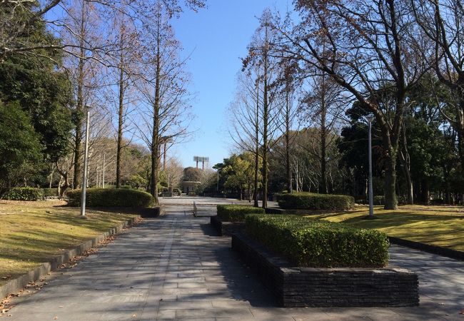 春日公園 クチコミ アクセス 営業時間 大宰府 フォートラベル