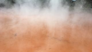 血のようには赤くない