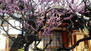 豊臣秀次一族の墓がある寺