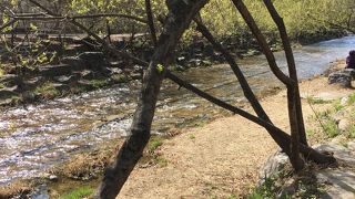 のんびりと散策。