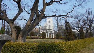 迎賓館の目の前の公園（広場）です