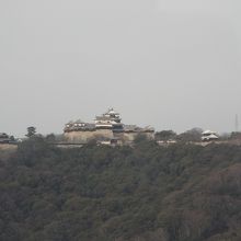 大観覧車くるりんから見た松山城