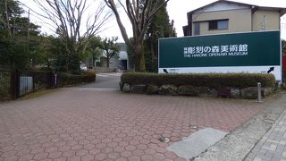 自然の中を散歩しながら