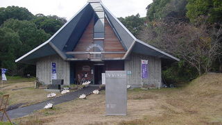 貝のコレクションです