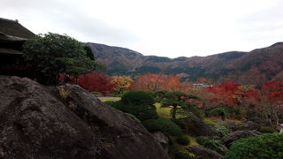 箱根で一番の紅葉名所と聞いて訪れましたが…