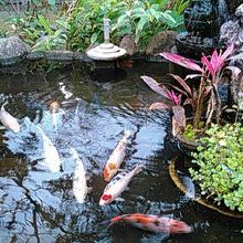 建物前に池があります