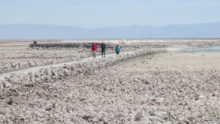 散策路歩きました