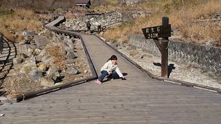 こちらは二度目の訪問