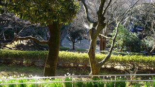 国内初の洋式公園