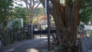 静かな別世界のような雰囲気