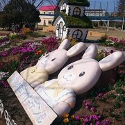 小学生にちょうど良い香椎花園