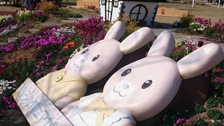 小学生にちょうど良い香椎花園