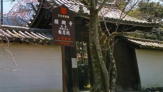 桜が美しかった