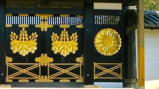 輝いています。