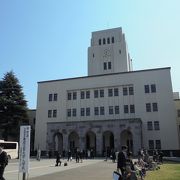 桜の時期は賑やかなキャンパス（東京工業大学　大岡山キャンパス）