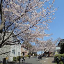 キャンパス内はアップダウンがあります。