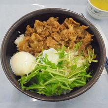 東工大パワー丼