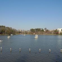 駅のすぐ近くに池が広がっています。