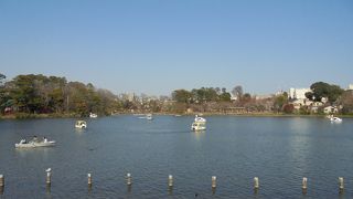 大田区のオアシス（洗足池公園）