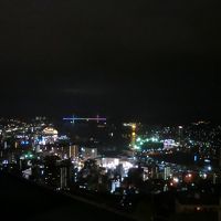 客室からの夜景です。
