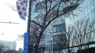 桜の時期は見事な並木通りになります