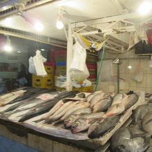 魚が多くあります