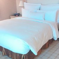 ウィン ラス ベガス2