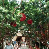 ウィン ラス ベガス3