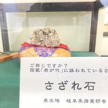 「君が代」の歌詞に出てくる「さざれ石」だそうです。