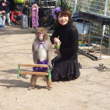 猿回しのお姉さんと猿の金太郎君