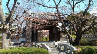 山門前の桜が風情を感じます