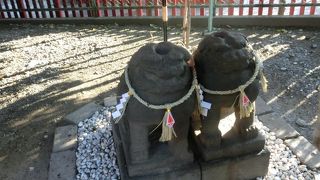 赤い傘の下かわいらしいペアの狛犬