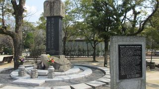 亀に乗っています