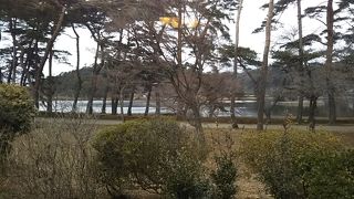 質、量とも満足でした