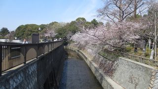 荒川水系の一級河川