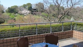 桜アフタヌーンティーと庭園散策