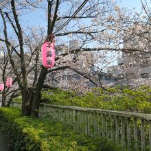 神田川