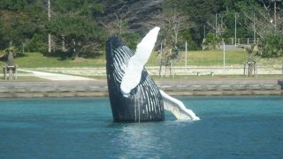 レンタルバイクで島内を一周