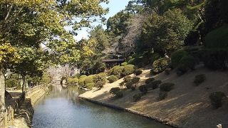 展望台まで行かなくても