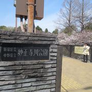 妙正寺川沿いにある公園