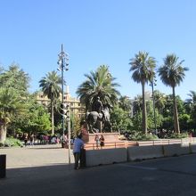 ヤシの木が多くあります