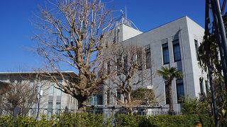 隣りの気象台もいい借景