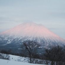 羊蹄山を一望