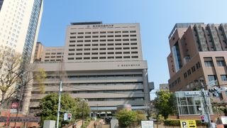 大学の内容は別として、見るべきものは何もない。