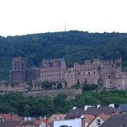 小高い丘の上にそびえるハイデルベルク城から旧市街が見渡せました。