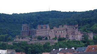小高い丘の上にそびえるハイデルベルク城から旧市街が見渡せました。