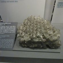 ガラスが溶ける程の高温が街を襲う・・・