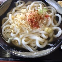 手打ちうどんますや