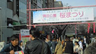 8分咲きくらいでした