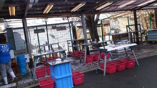 そろそろ良い季節